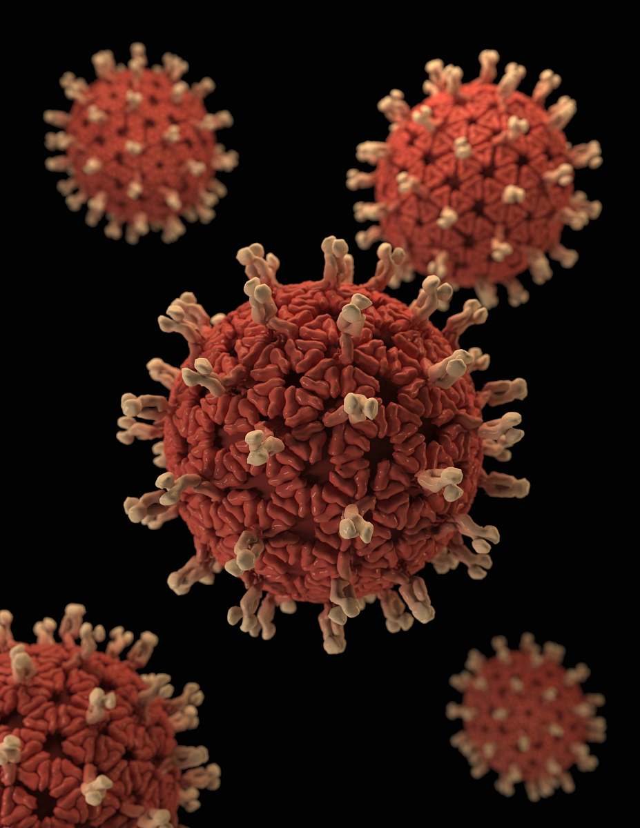 pattern red and black round fruits bacteria